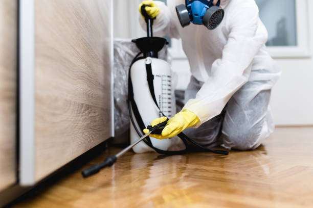 Wasp Removal Services in Mckee City, NJ