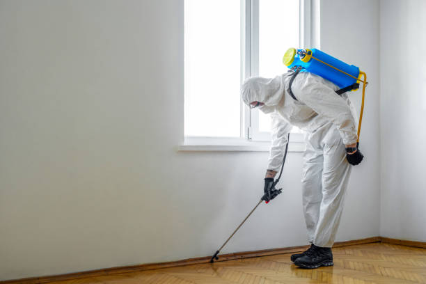 Best Affordable Pest Control Services  in Mckee City, NJ