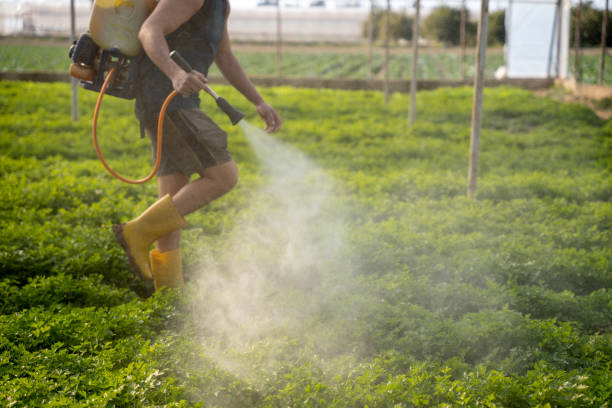 Best Pest Removal Services  in Mckee City, NJ