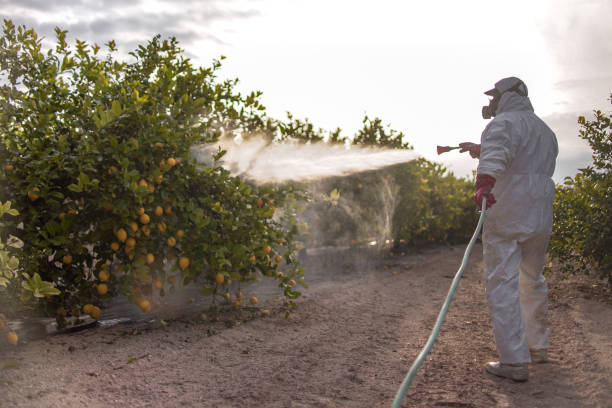 Best Pest Inspection Near Me  in Mckee City, NJ