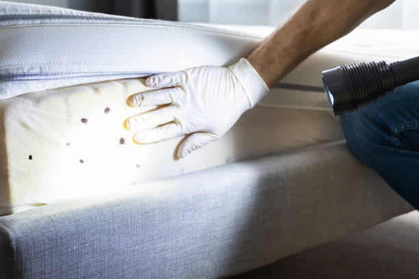 Best Emergency Pest Control  in Mckee City, NJ
