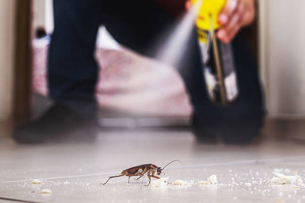 Best Wasp Removal Services  in Mckee City, NJ