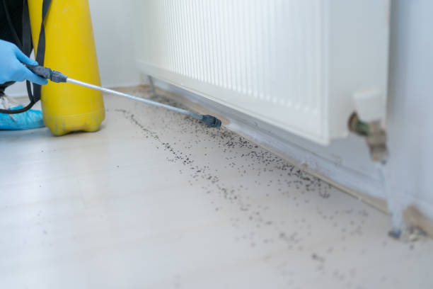 Pest Control for Restaurants in Mckee City, NJ