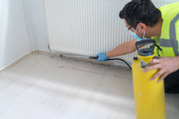 Best Residential Pest Control  in Mckee City, NJ
