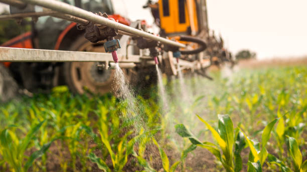 Best Mosquito Control Services  in Mckee City, NJ