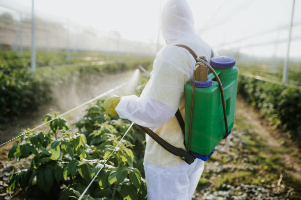 Best Bed Bug Extermination  in Mckee City, NJ